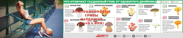 круглые Белокуриха