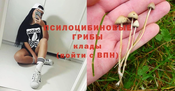 спайс Белоозёрский