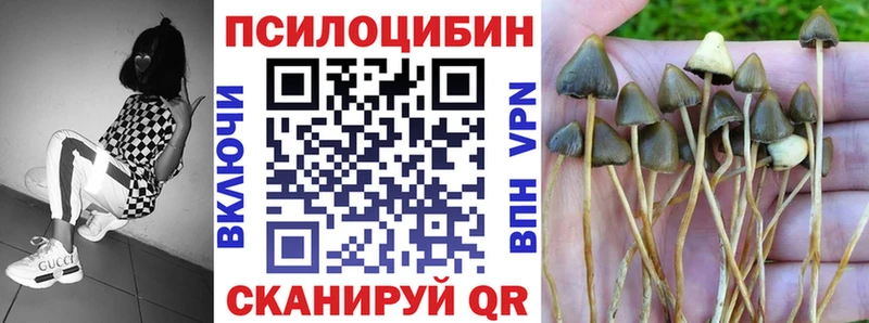 Псилоцибиновые грибы Psilocybine cubensis  магазин  наркотиков  blacksprut зеркало  Волосово 